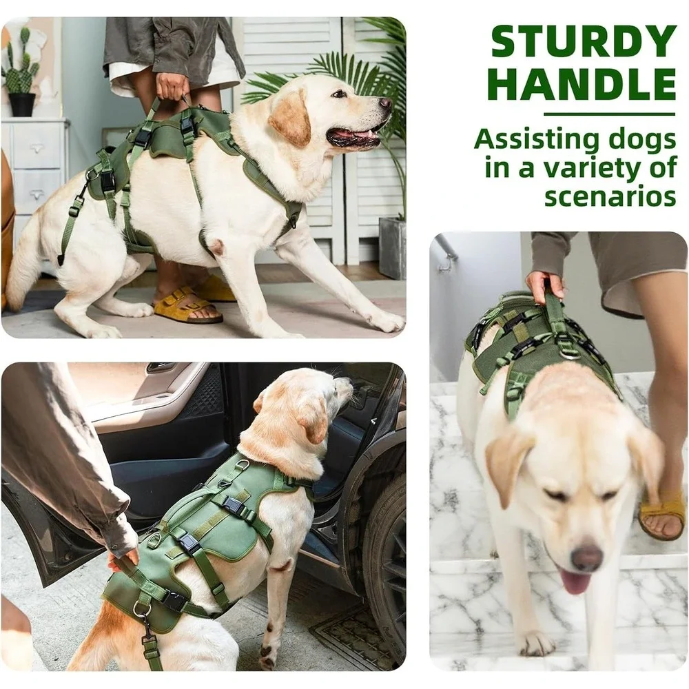 Dog Lift Harness Large Green PUPTECK‎ Support Sling for Rear Leg Injury Help